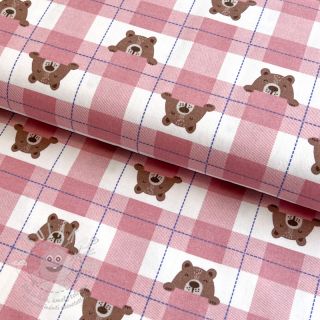 Bavlněná látka FLANNEL Bear check light pink